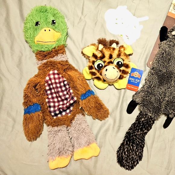 Dog Toy bundle, 4 pc - Picture 13 of 14